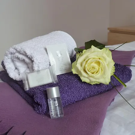 Hotel Zum Buegeleisen 3*