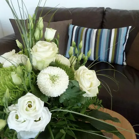 Zum Buegeleisen מלון דיסבורג