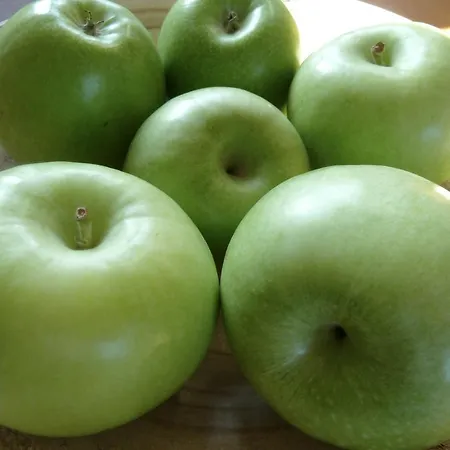 מלון Zum Buegeleisen 3*