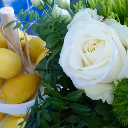 מלון Zum Buegeleisen דיסבורג