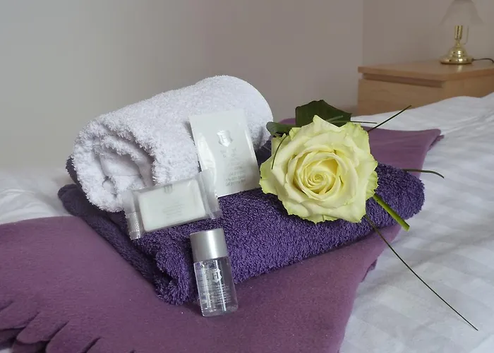 Otel Zum Buegeleisen 3*