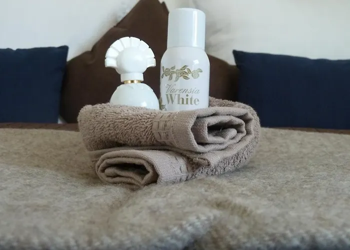 Zum Buegeleisen דיסבורג