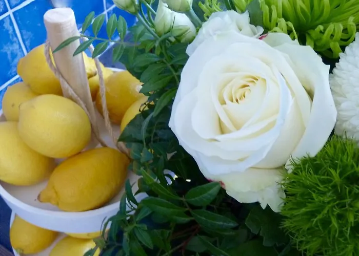 Otel Zum Buegeleisen Duisburg